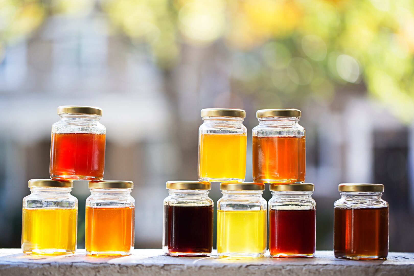 Brickhouse Organics (at Shamrock Farm) photo 9